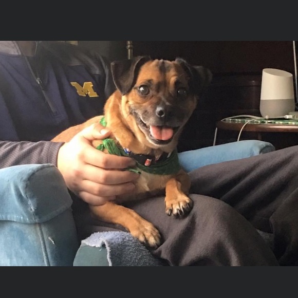 Meet your Posher, Sarah - Picture 1 of 1